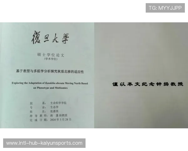 逆境中坚持，团队赢得荣誉！，逆境中坚持,团队赢得荣誉作文